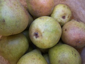 Harrow Sweet Pears