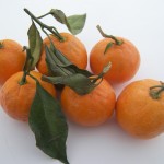 Satsuma Mandarin