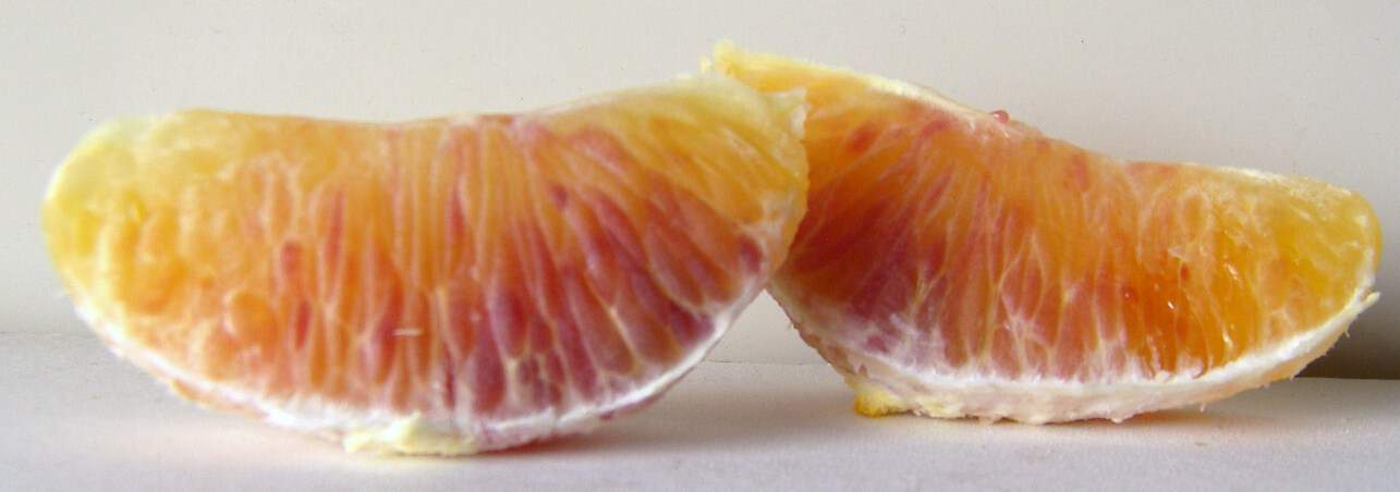 Slices of Tarocco blood oranges showing shades of yellow, orange, and red in it's color.