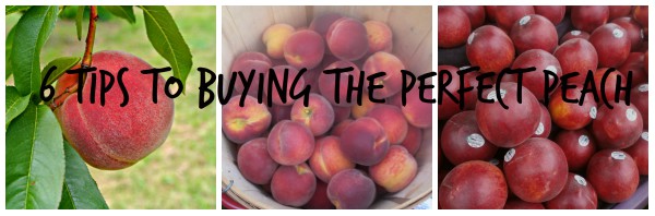 6 Tips to Buying the Perfect Peach