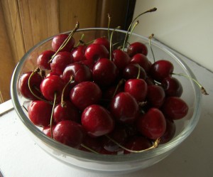 Michigan U-Pick Cherries