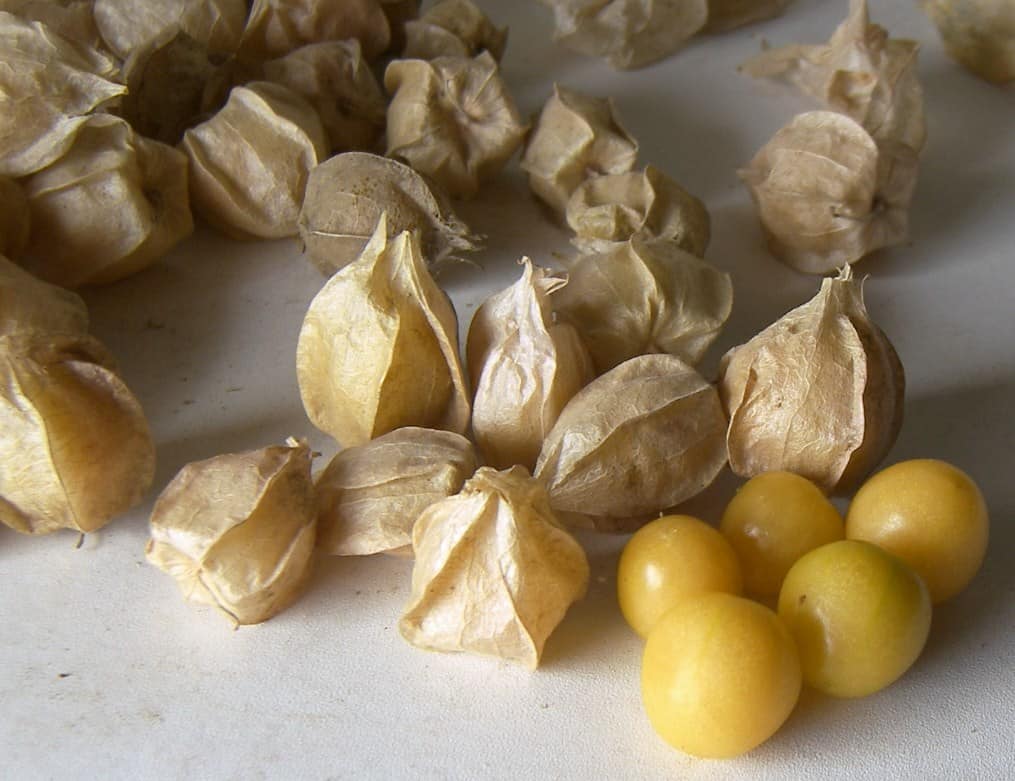 Ground cherries sitting on a countertop. Some of the fruit are still in the husk while others have been removed and place on the right side.