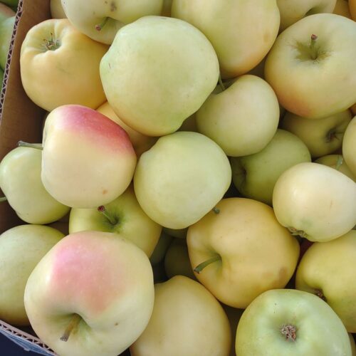 Yellow Pristine apples, some with red blush on the skin, in a cardboard box at a farmers' market