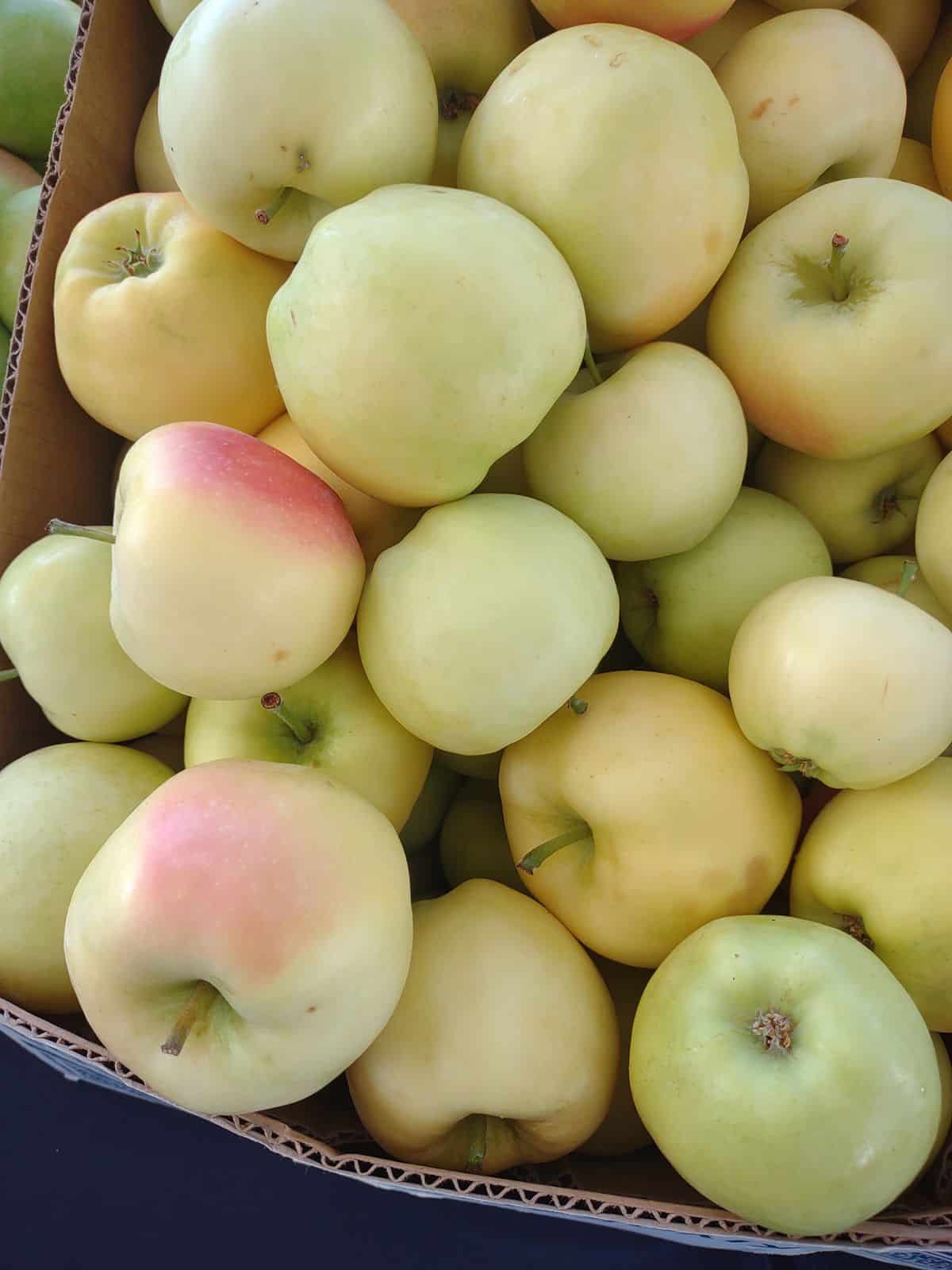 A box filled with yellow Pristine apples, some with red blush on them.