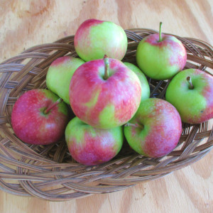 Vista Bella Apples