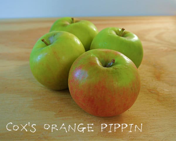 3 Cox's Orange Pippin apples on a wood board.