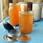 Giblet Stock