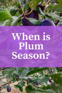 When is Plum Season?