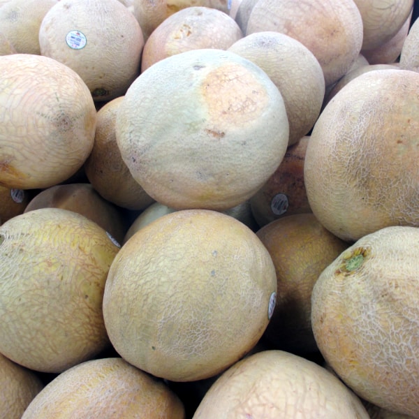 Honeyrock Melons piled up on a display at a grocery store.