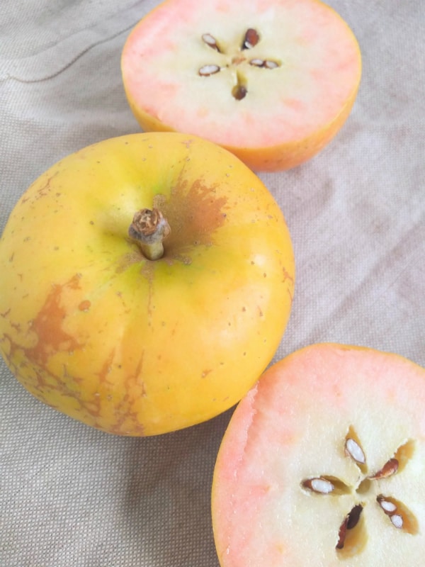 Two Pink Pearl apples with one cut open showing the pink inside. 