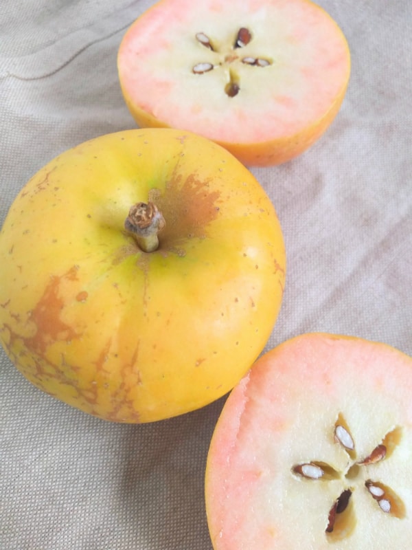 A whole Pink Pearl apple next to one sliced n half to show the pink inside. 