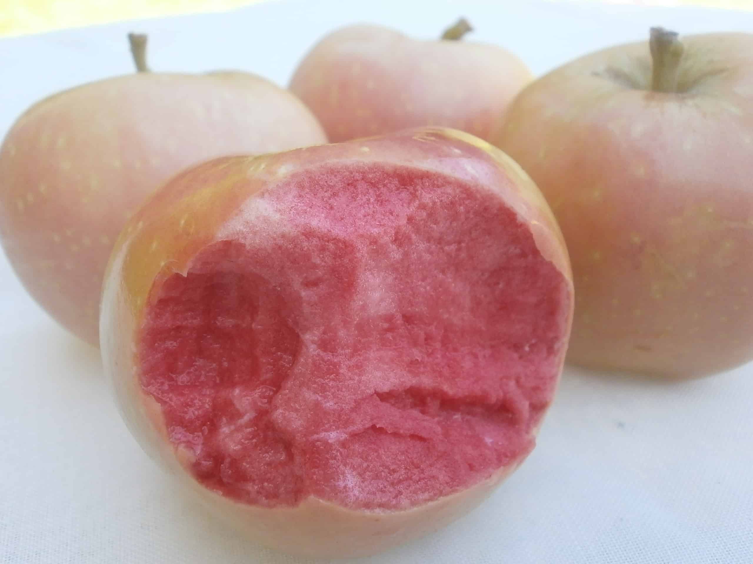 Pink Pearl Apples Pink On The Inside Eat Like No One Else