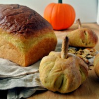 Pumpkin Yeast Bread Rolls