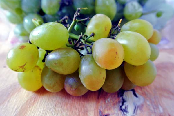 Where to Find Cotton Candy Grapes