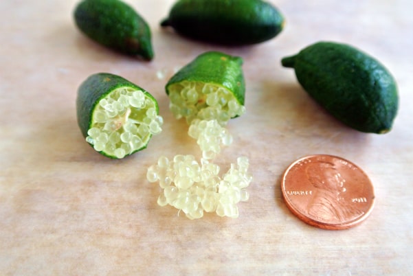 Organic Finger Limes on a wood surface next to a penny to show how small they are. One lime is cut open and the pearls are being squeezed out.
