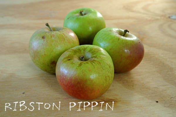 3 Ribston Pippin apples on a wood board.