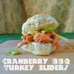 Cranberry BBQ Turkey Sliders