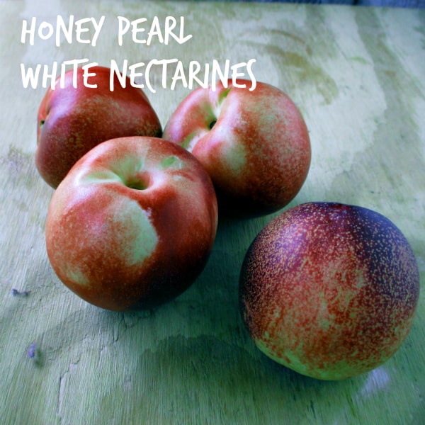Honey Pearl White Nectarines sitting on a wood board.
