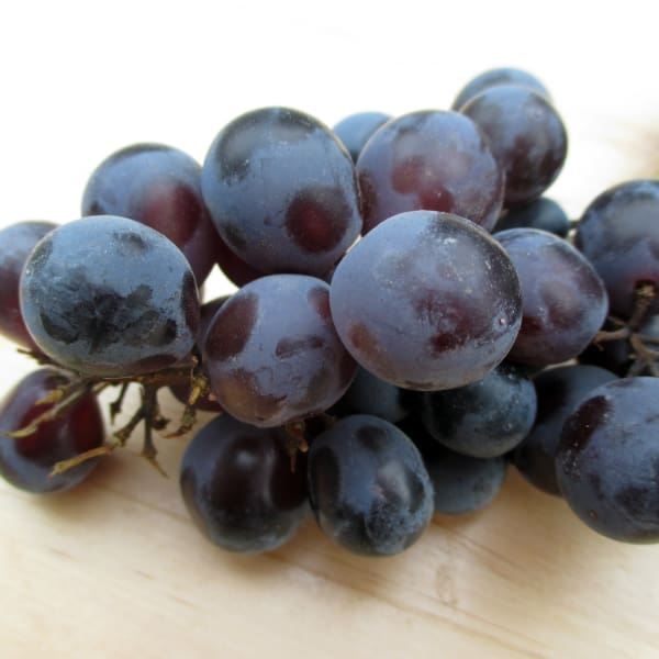 Thomcord Grapes