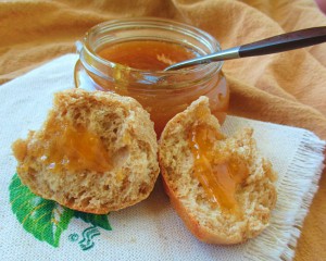 When Are Apricots in Season by State - Eat Like No One Else