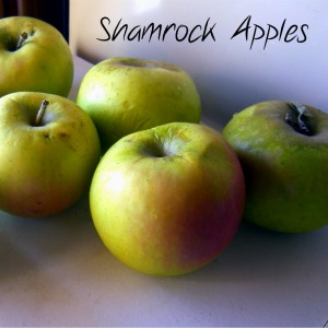 Shamrock Apples
