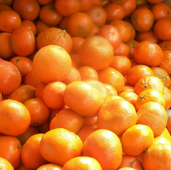 Murcott Mandarins
