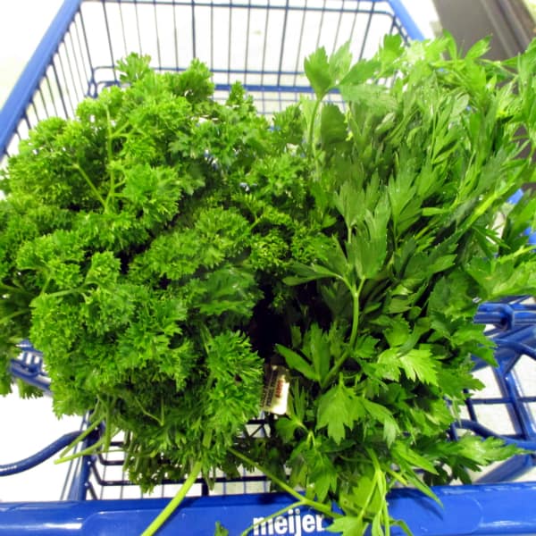 What Is The Difference Between Flat Leaf Italian And Curly Parsley Eat Like No One Else What Is The Difference Between Flat Leaf Italian And Curly Parsley Eat Like No One Else