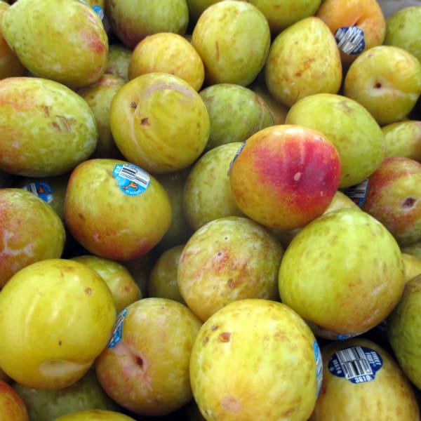 Flavor Grenade Pluots are piled together on a store display