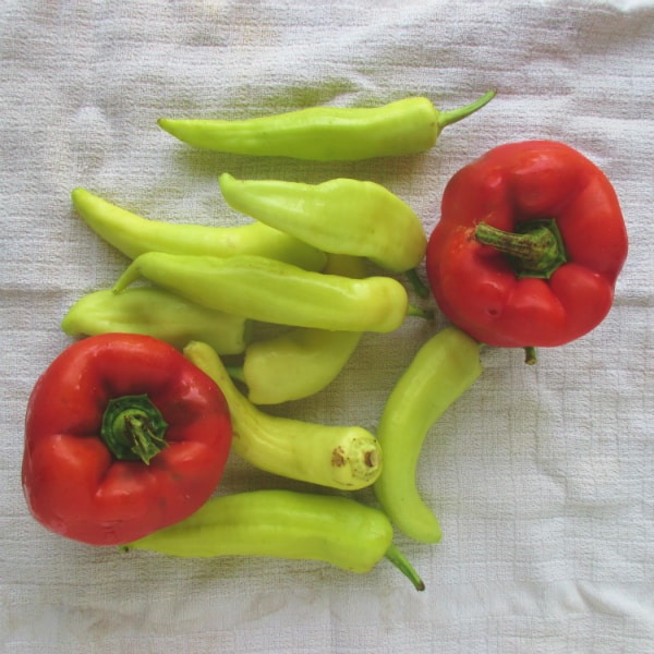 Peppers for Tomato Sauce