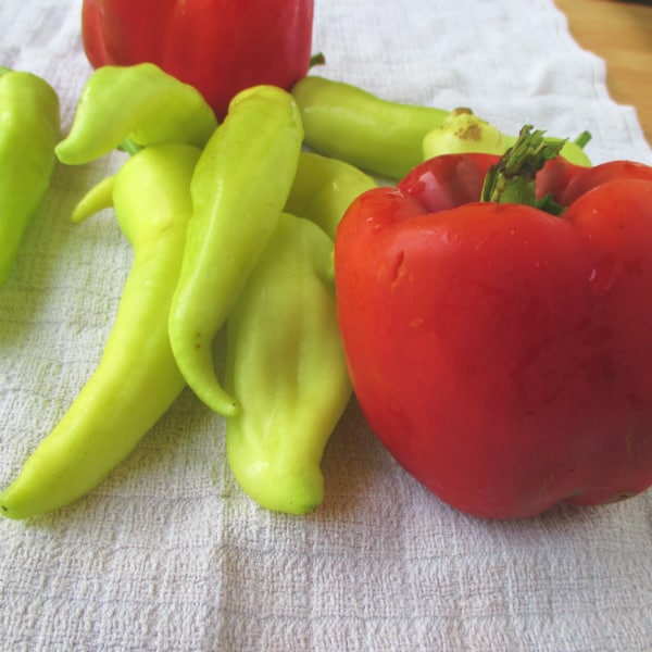 Peppers for Tomato Sauce