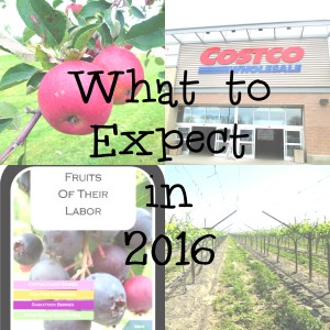 What to Expect 2016