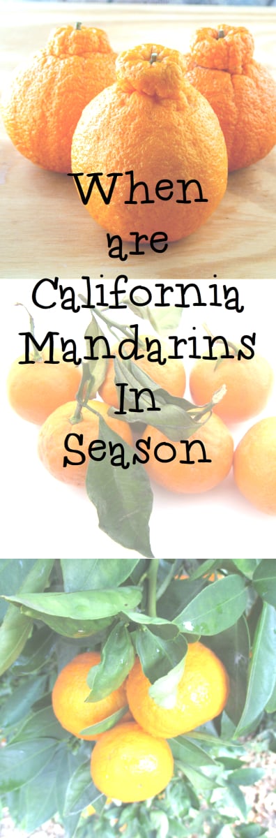 When are California Mandarin Season