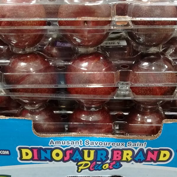 Dinosaour Brand Pluots from Kingsburg Orchards