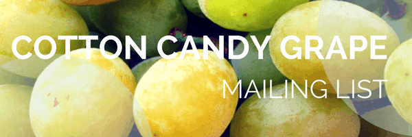 Cotton Candy Grape Mailing List advertisement graphic with green Cotton Candy grapes.
