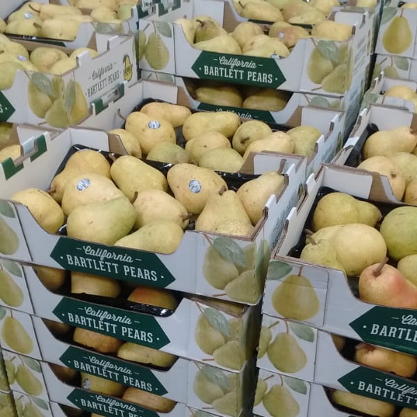 bartlett-pears-at-costco