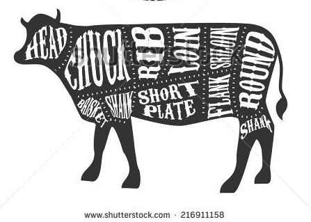 A picture of a cow showing where different cuts of meat come from. The ribeye comes from the rib section that is located in the middle back of the animal.