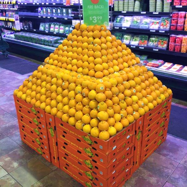 A display of Sumo citrus mandarins at a Whole Foods Market. The mandarins are stacked like a pyramid.