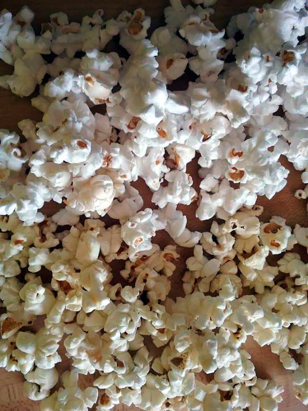 Popped white popcorn on top with popped yellow popcorn on the bottom. You can see that the white popcorn is snow white in color while the yellow popcorn is more off white.