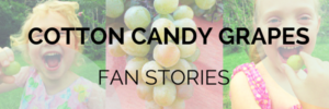 Share your best Cotton Candy grape story with the world.