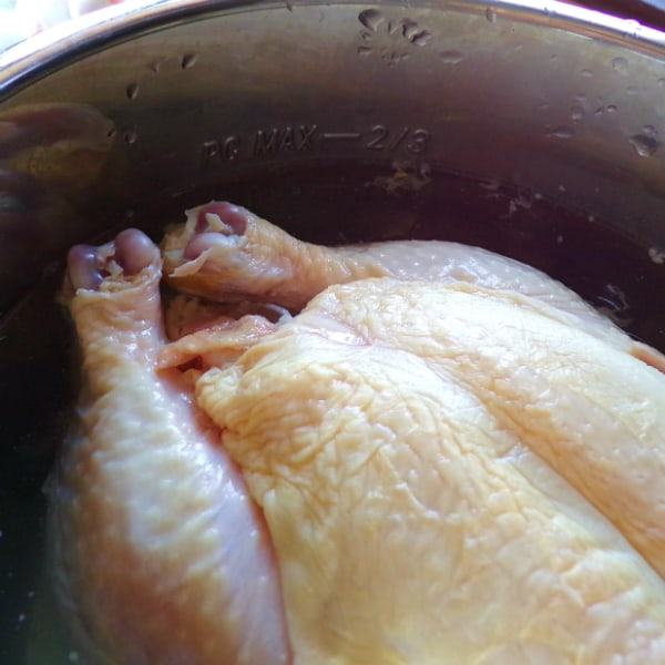 A whole chicken inside of the Instant Pot.