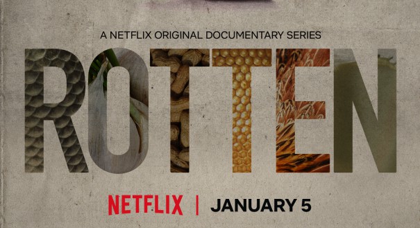 Netflix Rotten logo