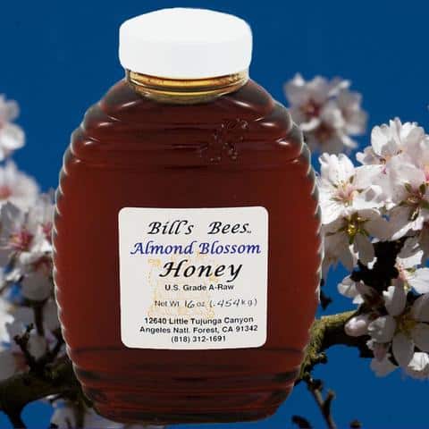 Almond Blossom honey from California