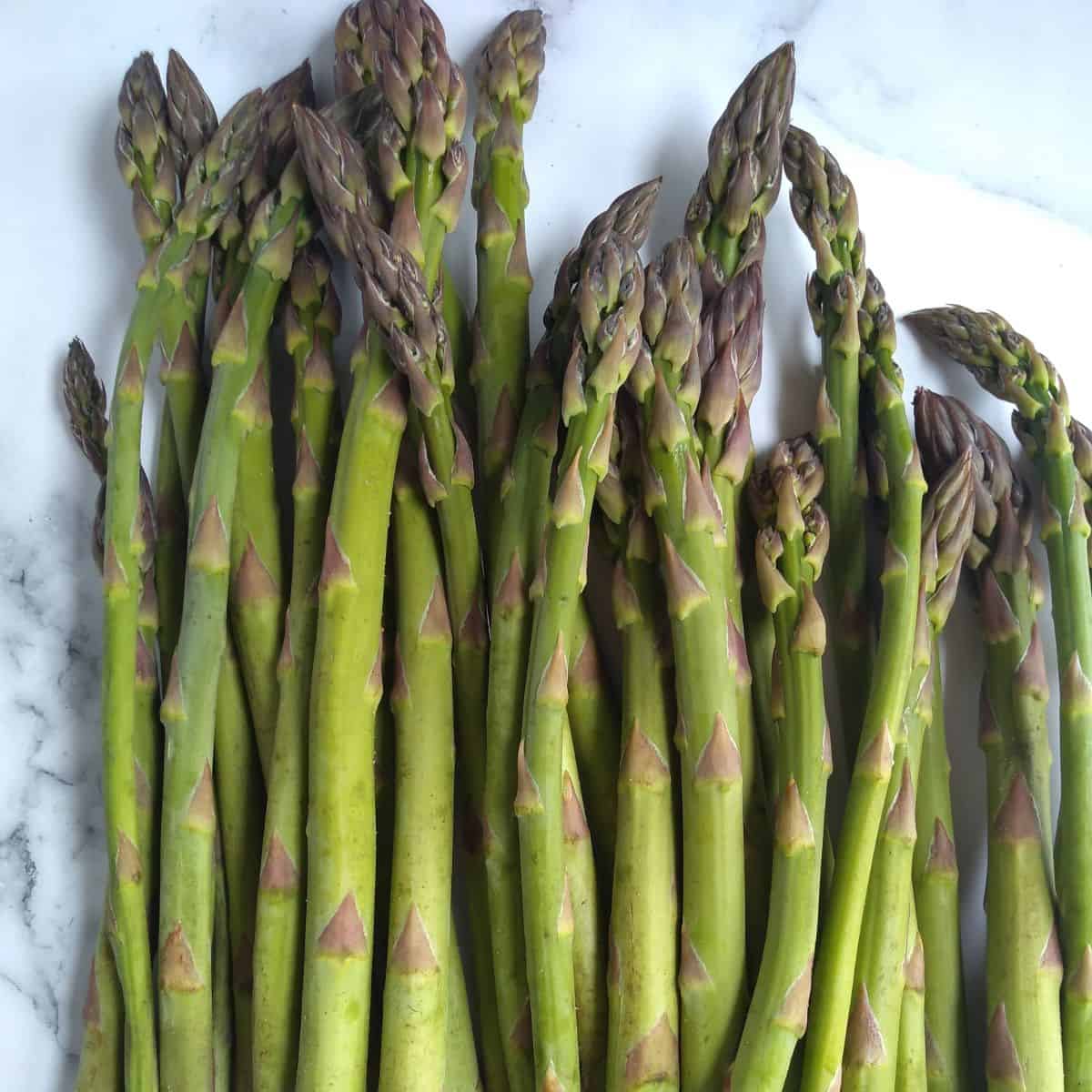 Stalks of asparagus on a white with black background.