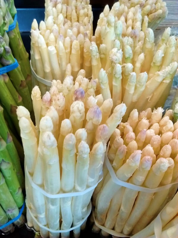 White asparagus bundles that has been bundled with a rubber band