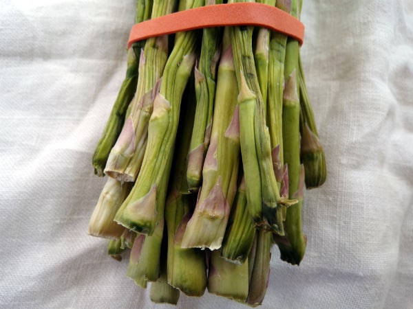 Wrinkly asparagus ends in a bunch on a white towel.