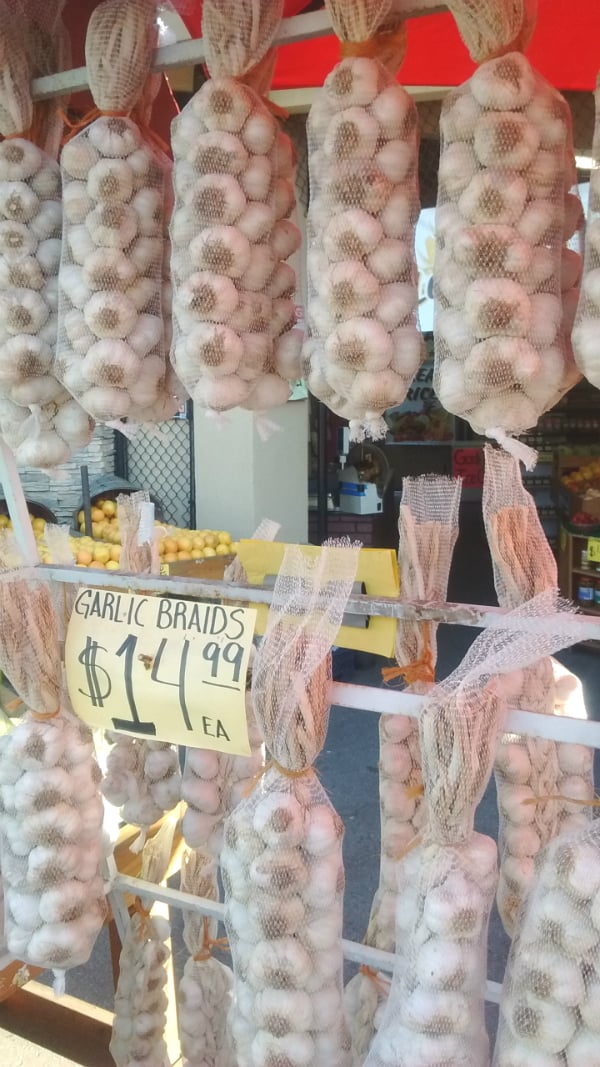 Garlic braids hanging up on bars,