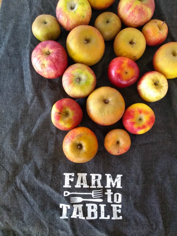 Apples on top of a black towel that says 'Farm to Table"