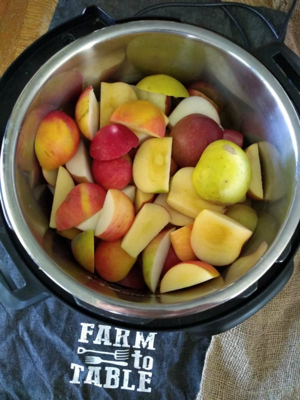 Slice apples with the skin on inside an Instant Pot.