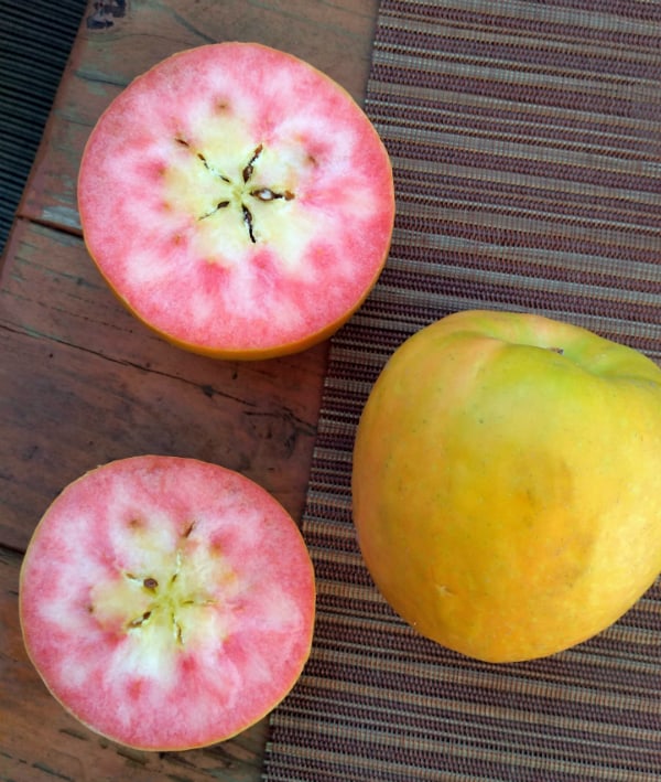 A Yellow Skinned apple with a Lucy Glo sticker on a brown placemat on a brownish red table. One apple is split in half showing the pink inferior.
