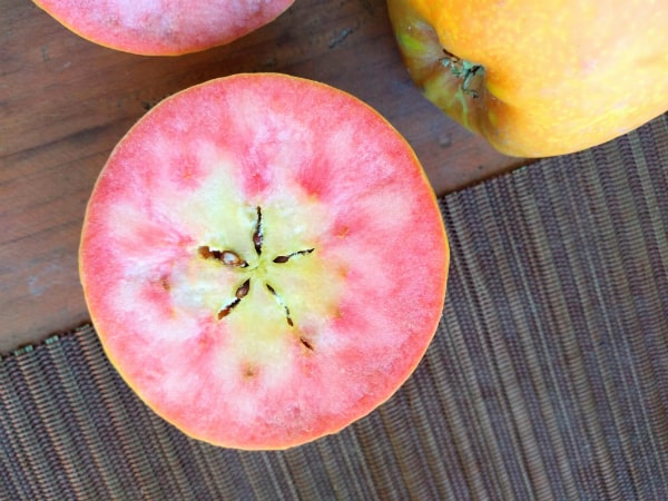 A sliced Lucy Glo apple is in front showing it's pink inferior with the other half on top and a whole yellow apple to the right top.